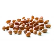 Natures Feast Energy Nuts Bird Food - 12.75kg